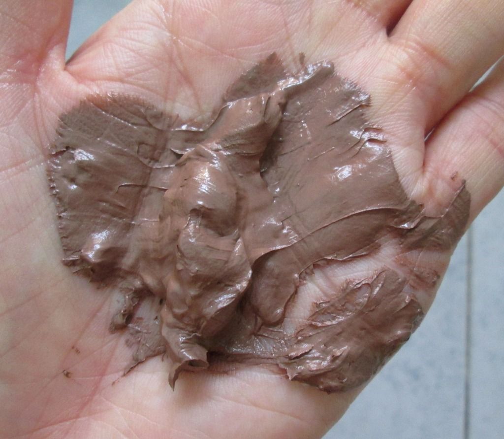 photo HMRichChocolateMoisturisingMask05.jpg