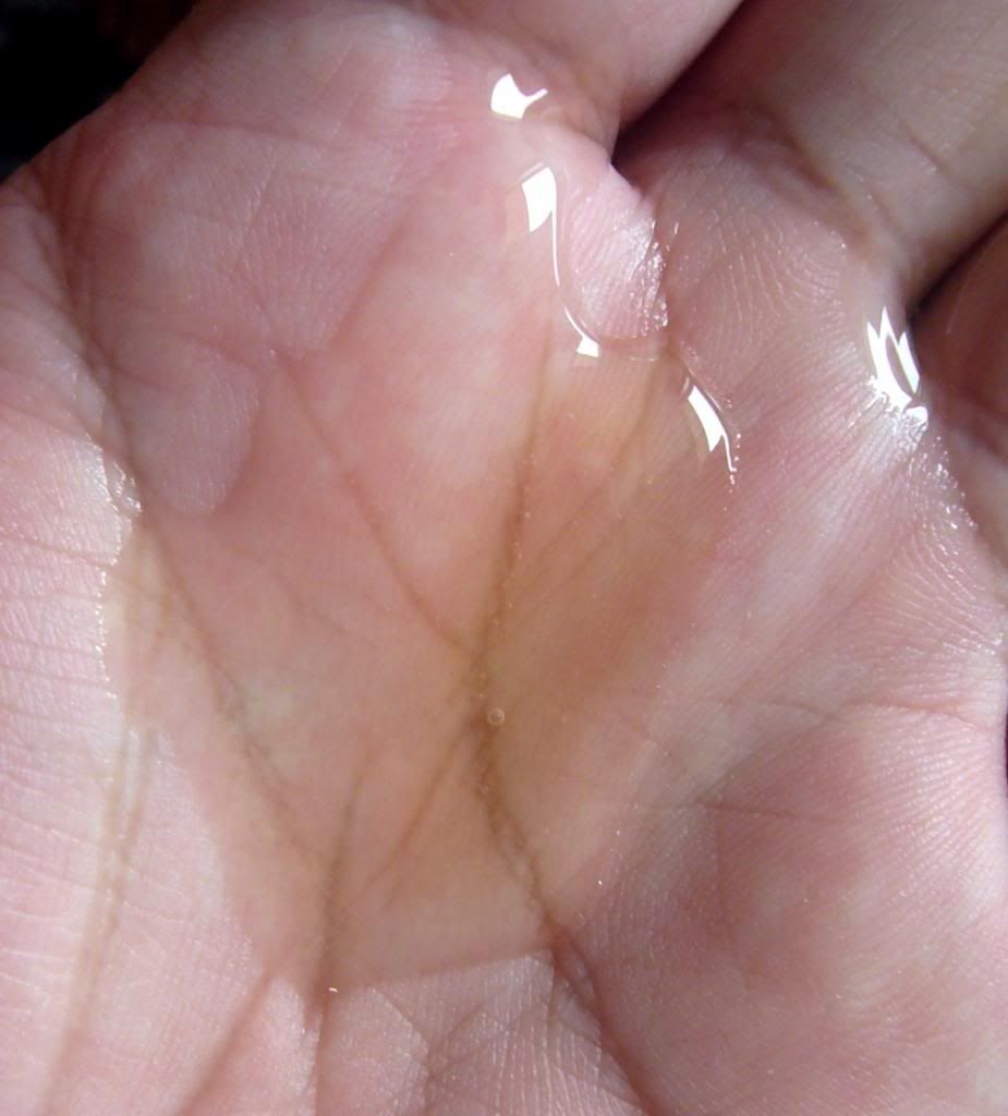 photo HaSuOScalpCareShampoo04.jpg