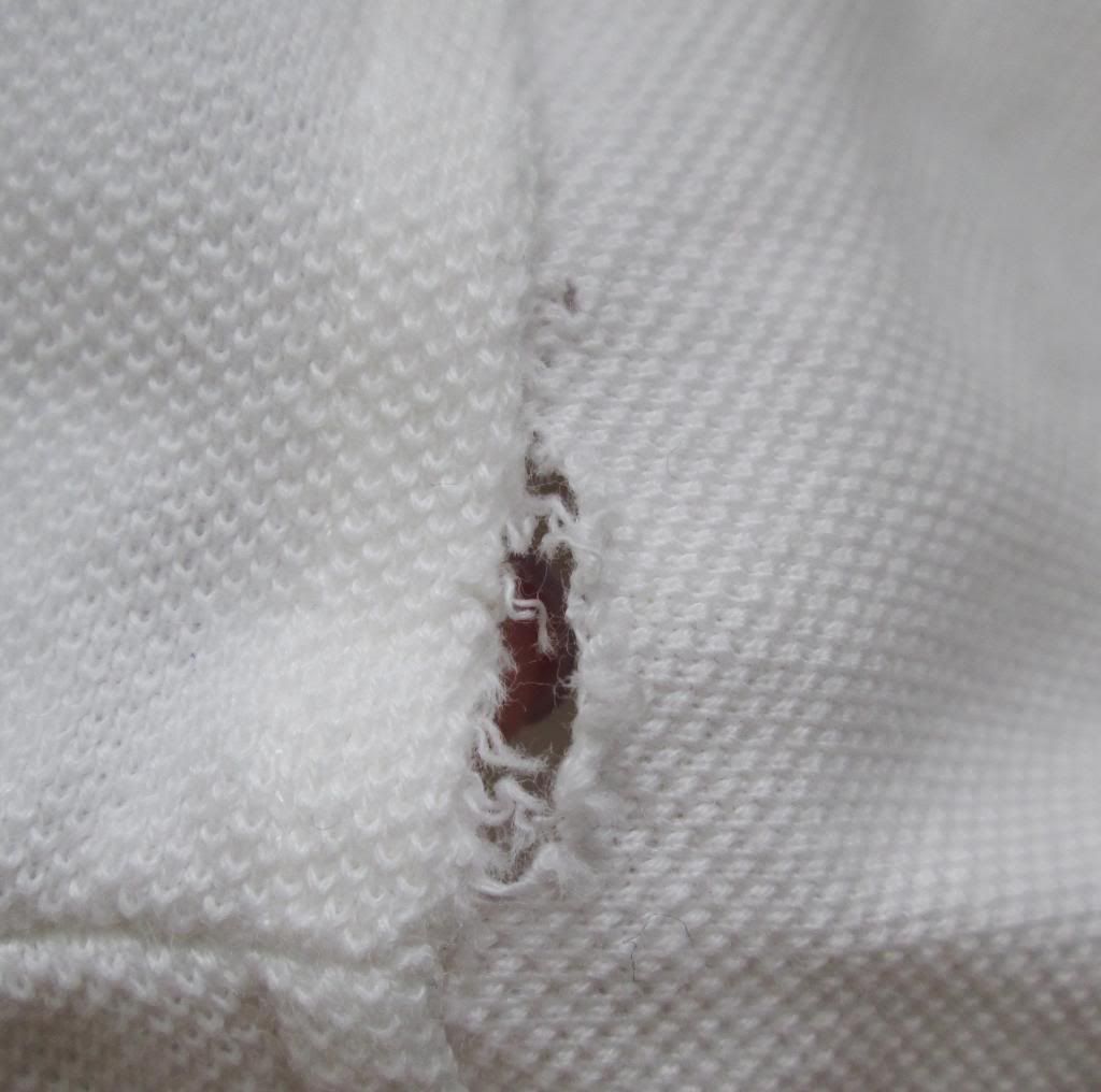 photo LowryFarmPoloShirt03.jpg