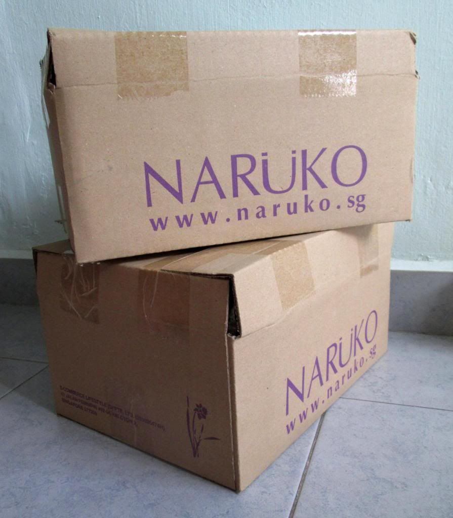 photo NarukoShareWin02.jpg