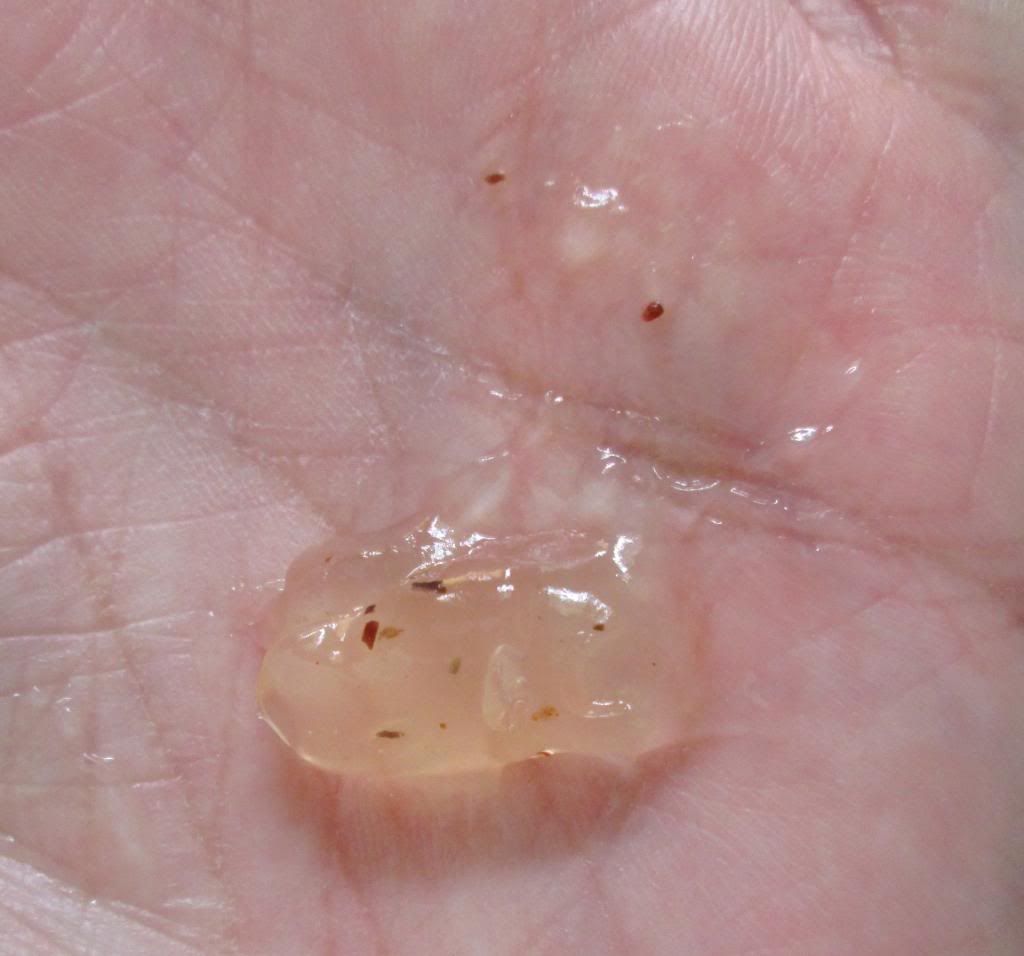 photo NarukoTeaTreeOilOutPeelingGel02.jpg