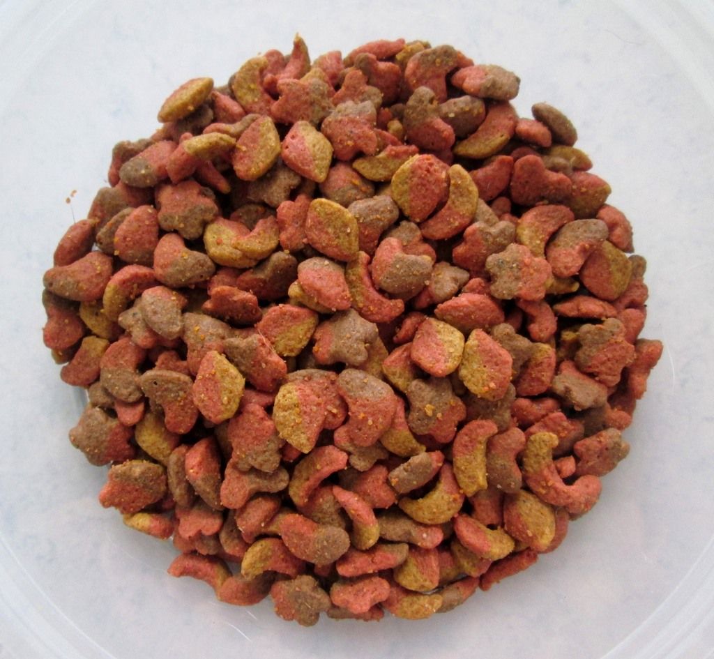 photo FancyFeastDryCatFood05.jpg