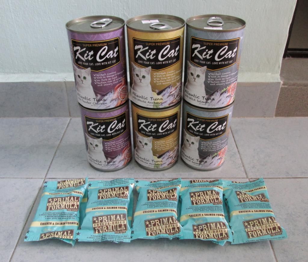 photo KitCatCatFood02.jpg
