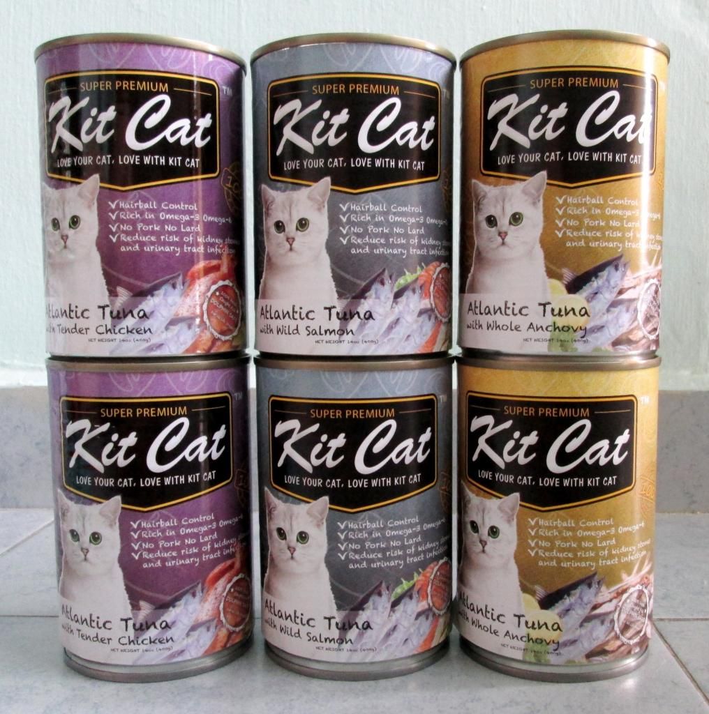 photo KitCatCatFood03.jpg
