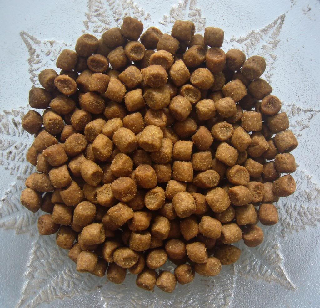 photo WellnessCompleteHealthCatFoodSamples05.jpg