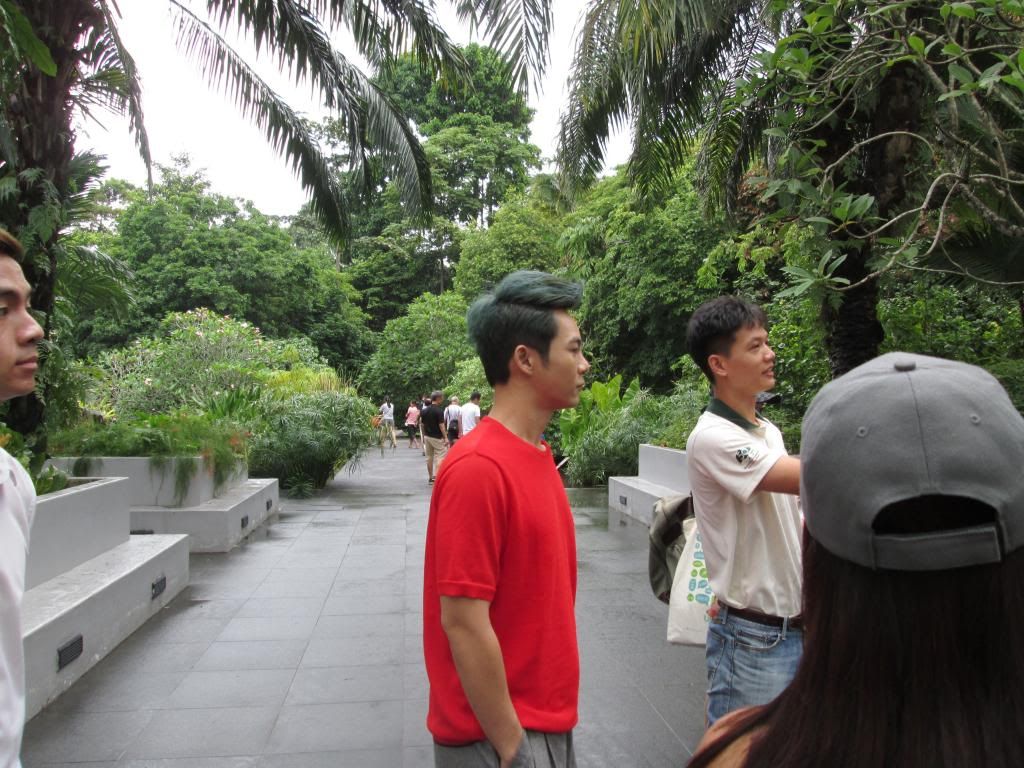 photo SingaporeBotanicGardensIssacDang14.jpg