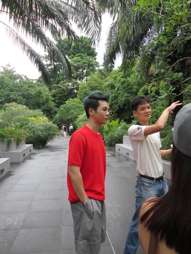 photo SingaporeBotanicGardensIssacDang15.jpg