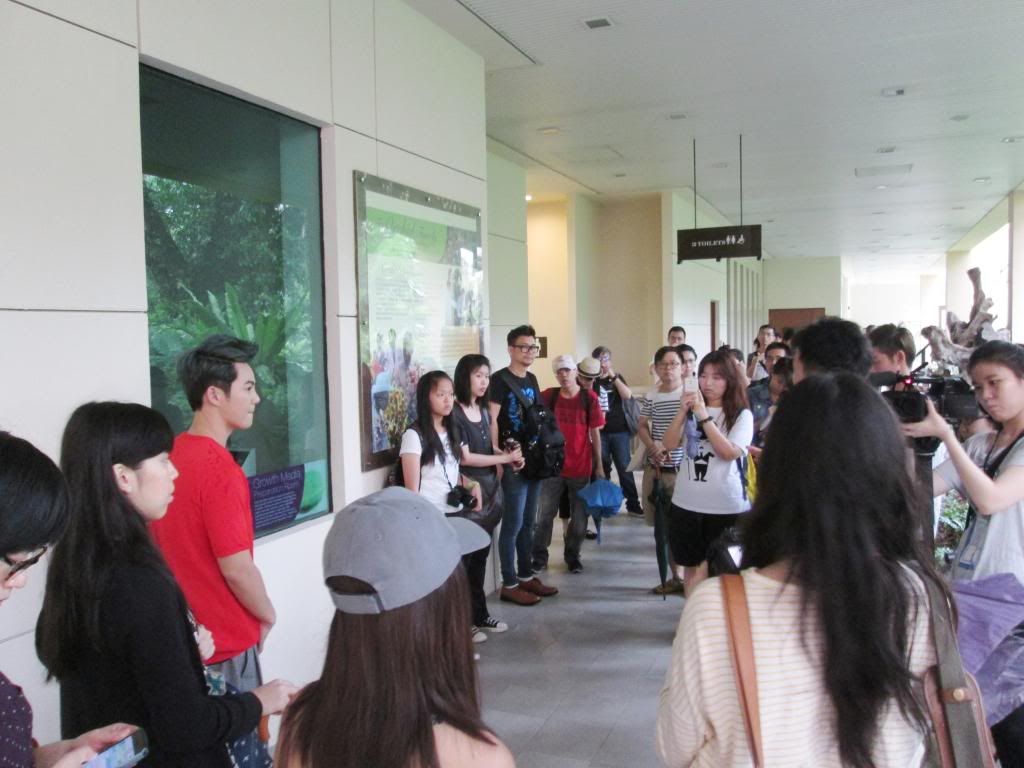 photo SingaporeBotanicGardensIssacDang28.jpg