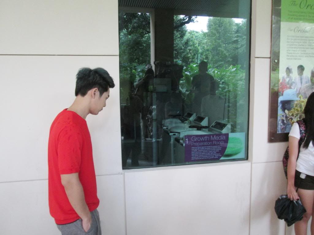 photo SingaporeBotanicGardensIssacDang30.jpg
