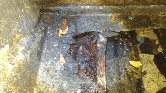 IMAG0759_zps37b955c4.jpg