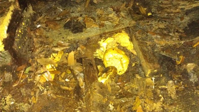 IMAG0770_zps40d4003e.jpg