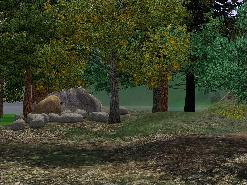 The piece of land