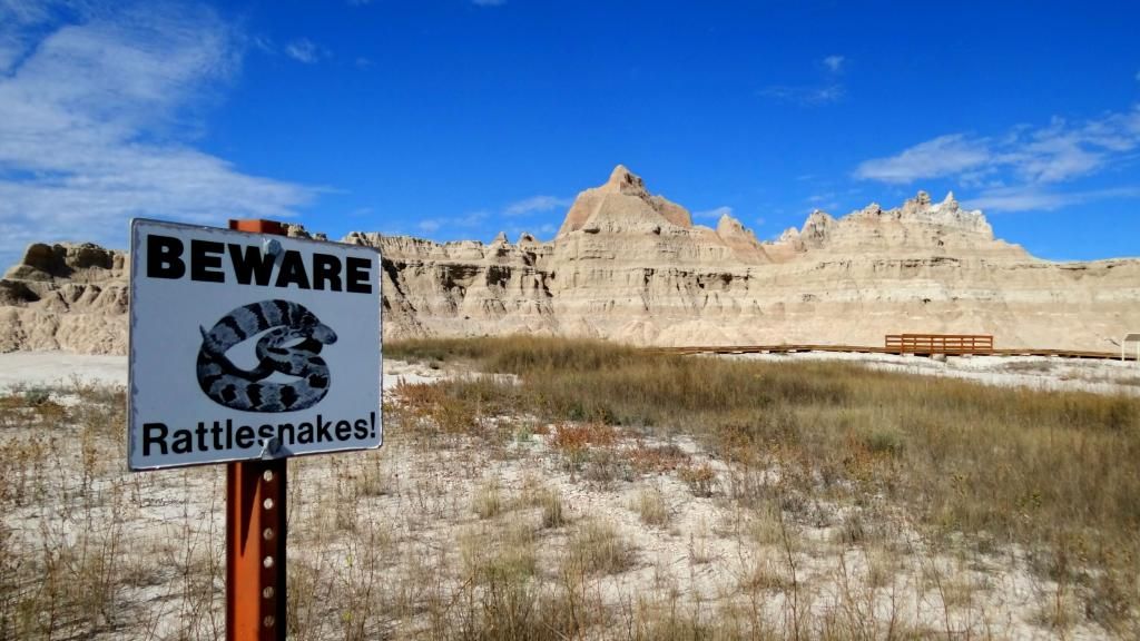 Beware of Rattlesnake Sign, Badlands, South Dakota photo rattlesnake_signjpg_zps1778af5f.jpg