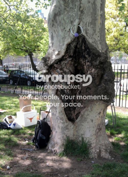 tree_12_zps0272ec83.jpg